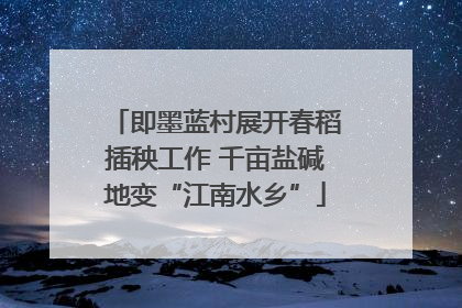 即墨蓝村展开春稻插秧工作 千亩盐碱地变“江南水乡”