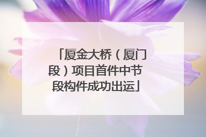 厦金大桥（厦门段）项目首件中节段构件成功出运