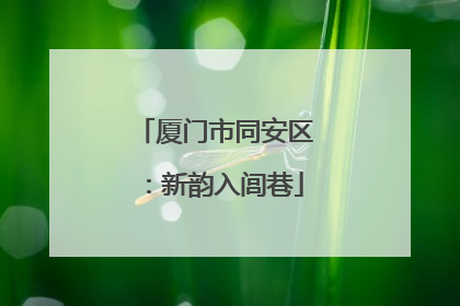 厦门市同安区：新韵入闾巷