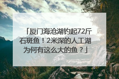 厦门海沧湖钓起72斤石斑鱼！2米深的人工湖为何有这么大的鱼？