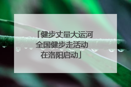 健步丈量大运河 全国健步走活动在洛阳启动