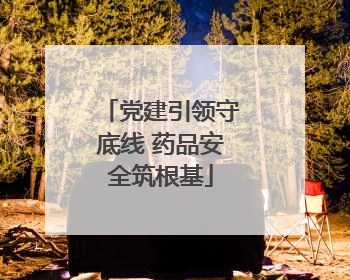 党建引领守底线 药品安全筑根基
