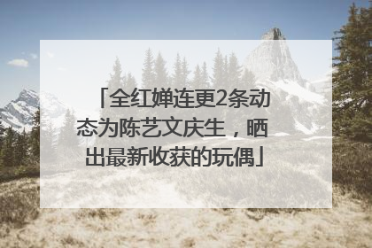 全红婵连更2条动态为陈艺文庆生，晒出最新收获的玩偶