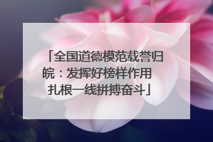全国道德模范载誉归皖：发挥好榜样作用 扎根一线拼搏奋斗
