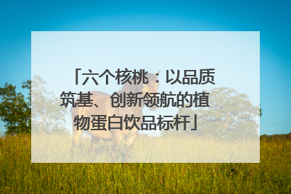 六个核桃：以品质筑基、创新领航的植物蛋白饮品标杆