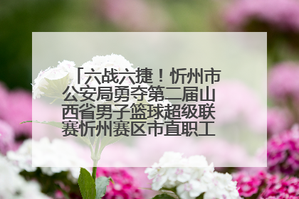 六战六捷！忻州市公安局勇夺第二届山西省男子篮球超级联赛忻州赛区市直职工组比赛冠军