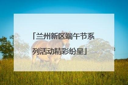 兰州新区端午节系列活动精彩纷呈
