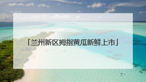 兰州新区拇指黄瓜新鲜上市