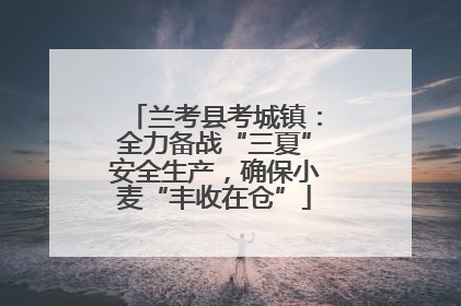 兰考县考城镇：全力备战“三夏”安全生产，确保小麦“丰收在仓”