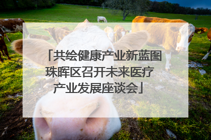 共绘健康产业新蓝图 珠晖区召开未来医疗产业发展座谈会