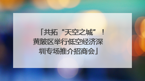 共拓“天空之城”！黄陂区举行低空经济深圳专场推介招商会