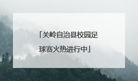 关岭自治县校园足球赛火热进行中
