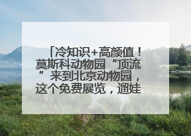 冷知识+高颜值！莫斯科动物园“顶流”来到北京动物园，这个免费展览，遛娃拍照两不误！
