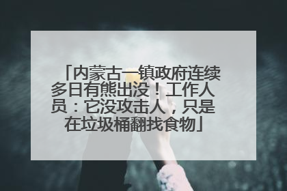 内蒙古一镇政府连续多日有熊出没！工作人员：它没攻击人，只是在垃圾桶翻找食物