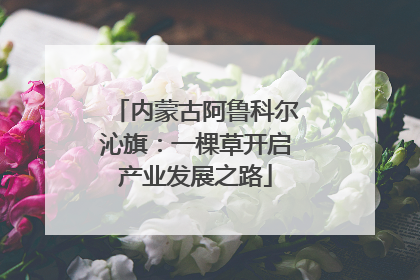 内蒙古阿鲁科尔沁旗：一棵草开启产业发展之路