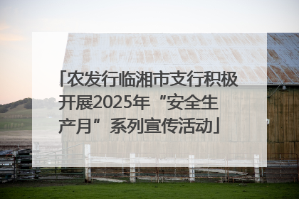 农发行临湘市支行积极开展2025年“安全生产月”系列宣传活动