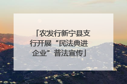 农发行新宁县支行开展“民法典进企业”普法宣传