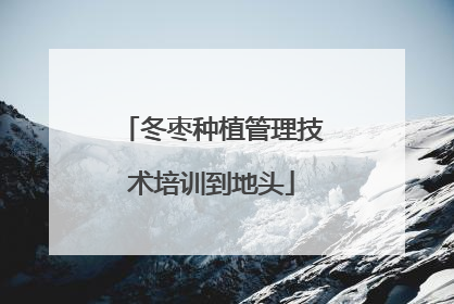 冬枣种植管理技术培训到地头
