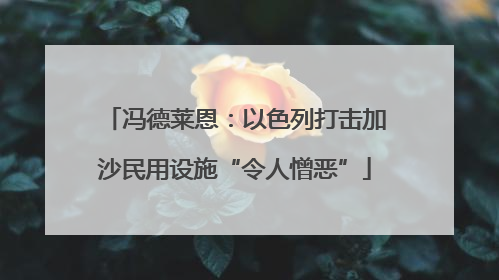 冯德莱恩：以色列打击加沙民用设施“令人憎恶”