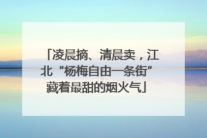 凌晨摘、清晨卖，江北“杨梅自由一条街”藏着最甜的烟火气
