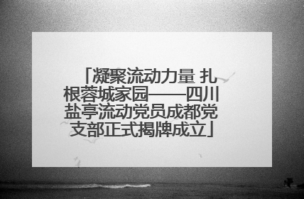 凝聚流动力量 扎根蓉城家园——四川盐亭流动党员成都党支部正式揭牌成立