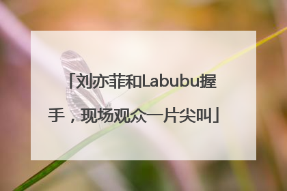刘亦菲和Labubu握手，现场观众一片尖叫