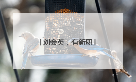 刘会英，有新职