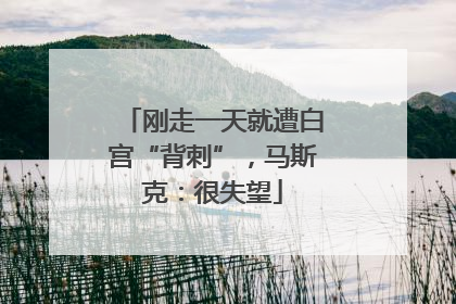刚走一天就遭白宫“背刺”，马斯克：很失望