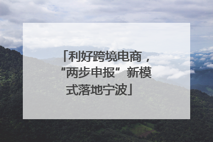利好跨境电商，“两步申报”新模式落地宁波