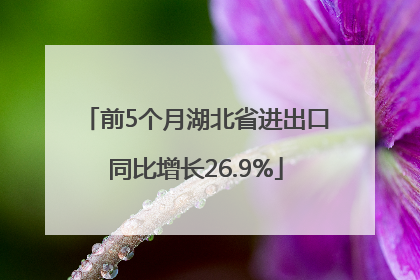 前5个月湖北省进出口同比增长26.9%