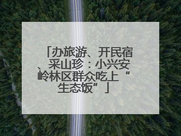 办旅游、开民宿、采山珍：小兴安岭林区群众吃上“生态饭”