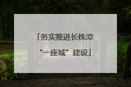 务实推进长株潭“一座城”建设