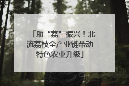 助“荔”振兴！北流荔枝全产业链带动特色农业升级