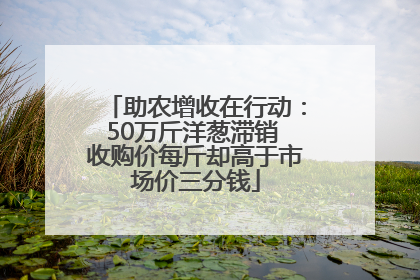 助农增收在行动：50万斤洋葱滞销 收购价每斤却高于市场价三分钱