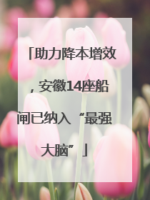 助力降本增效，安徽14座船闸已纳入“最强大脑”