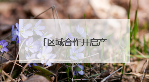 区域合作开启产业发展新篇章！黑龙江文化产业招商引资推介会闪耀深圳文博会