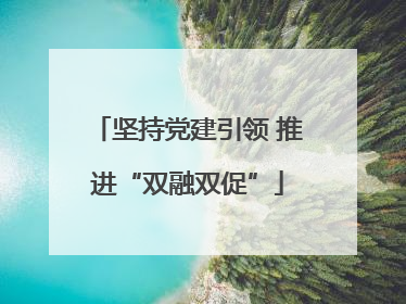 坚持党建引领 推进“双融双促”