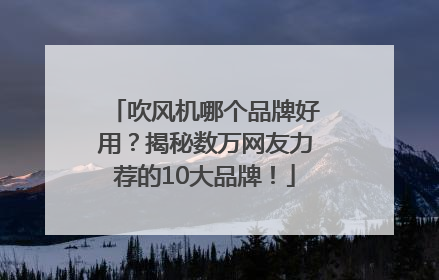 吹风机哪个品牌好用？揭秘数万网友力荐的10大品牌！