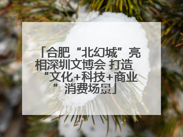 合肥“北幻城”亮相深圳文博会 打造“文化+科技+商业”消费场景