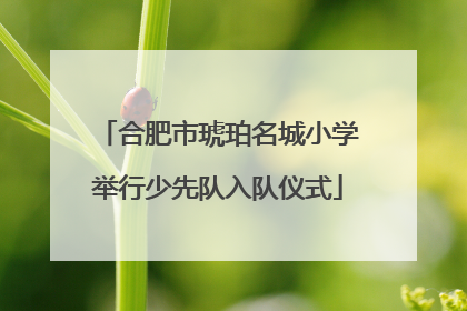 合肥市琥珀名城小学举行少先队入队仪式