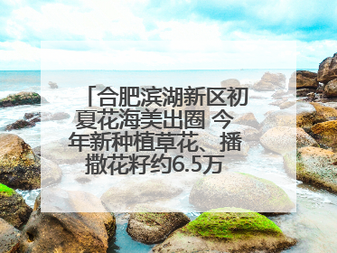 合肥滨湖新区初夏花海美出圈 今年新种植草花、播撒花籽约6.5万平方米