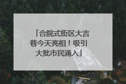 合院式街区大吉巷今天亮相！吸引大批市民涌入