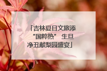 吉林夏日文旅添“国粹热” 生旦净丑献梨园盛宴