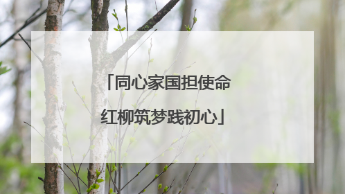 同心家国担使命 红柳筑梦践初心