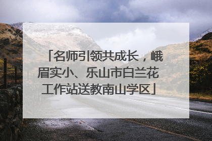 名师引领共成长，峨眉实小、乐山市白兰花工作站送教南山学区