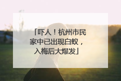 吓人！杭州市民家中已出现白蚁，入梅后大爆发