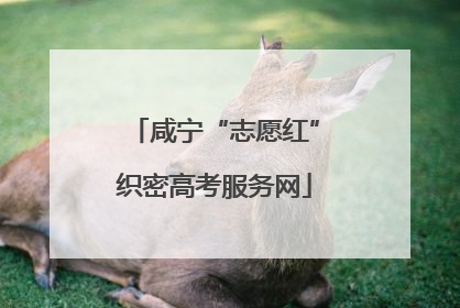 咸宁“志愿红”织密高考服务网