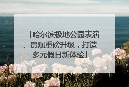 哈尔滨极地公园表演、景观重磅升级，打造多元假日新体验