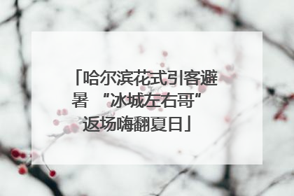 哈尔滨花式引客避暑 “冰城左右哥”返场嗨翻夏日