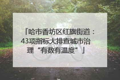 哈市香坊区红旗街道：43项指标大排查城市治理“有数有温度”